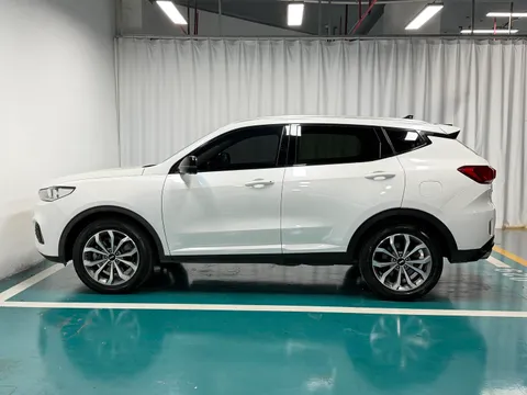 Wey VV6