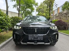 Wey VV5