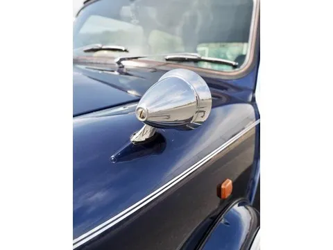 Rover Mini
