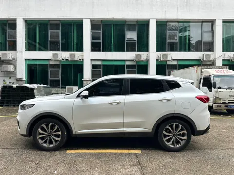 Wey VV6