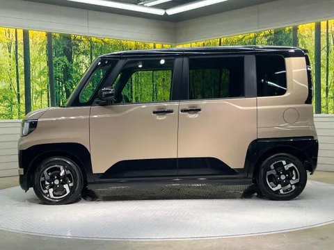 Mitsubishi Delica Mini