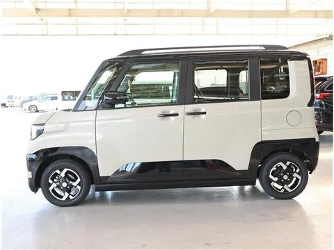 Mitsubishi Delica Mini
