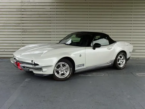 Mitsuoka Rock Star