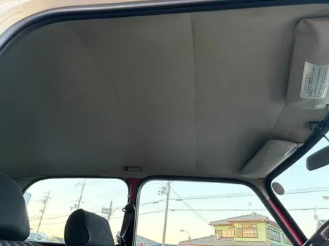 Rover Mini