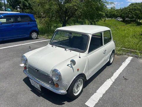 Rover Mini