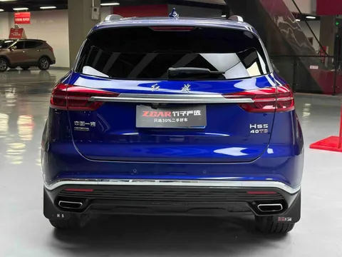 Hongqi HS5