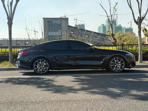 BMW 8-Series