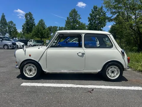 Rover Mini