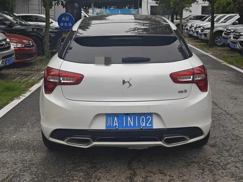 DS DS