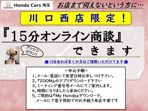 Honda Jazz (Fit)
