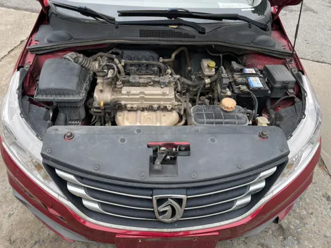 Baojun 310