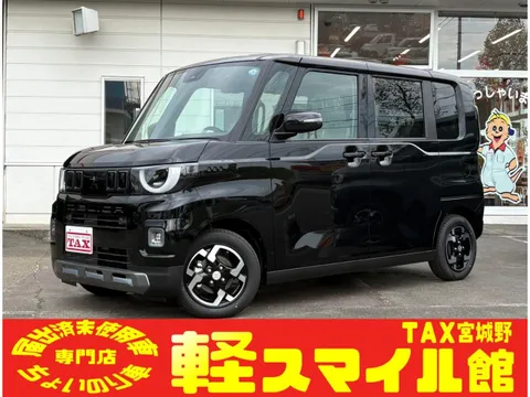 Mitsubishi Delica Mini