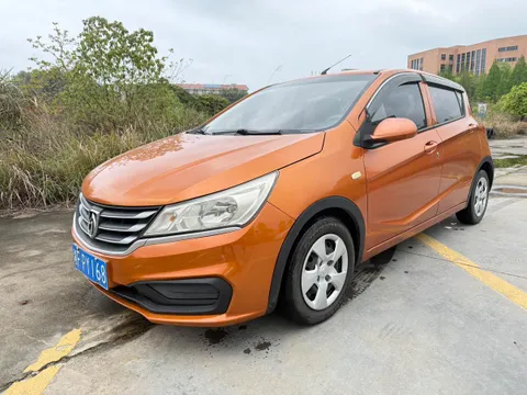 Baojun 310
