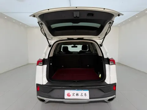Maxus D60