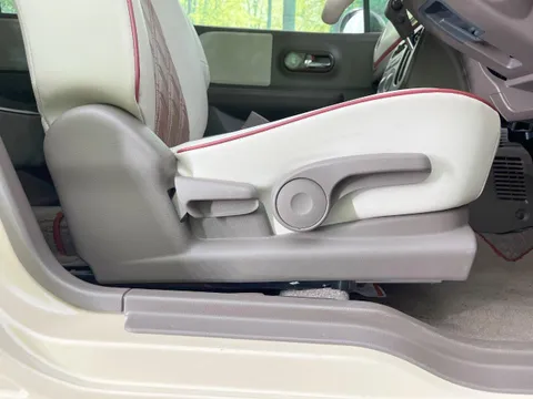 Suzuki Alto Lapin Chocolat