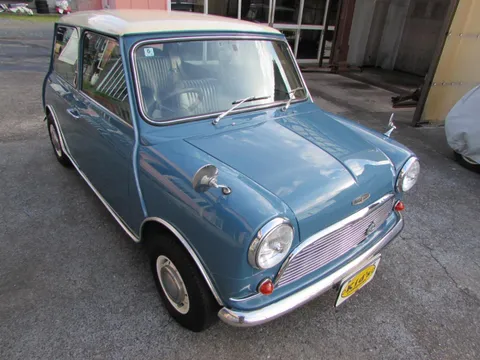 Rover Mini