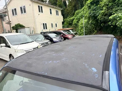 Subaru Pleo