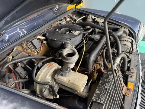 Rover Mini