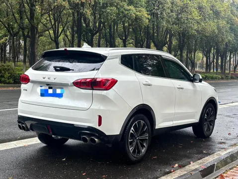 Wey VV6