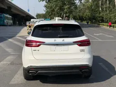 Hongqi HS5