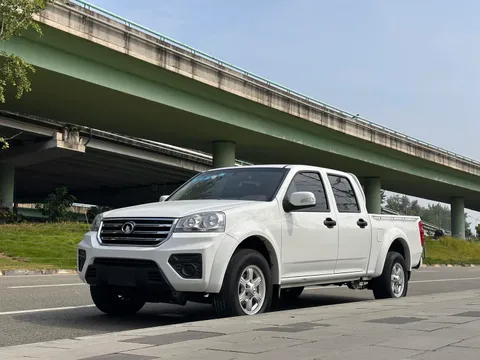 Great Wall Wingle 5