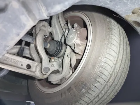 Фото днища 3