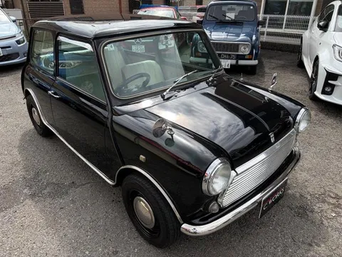 Rover Mini