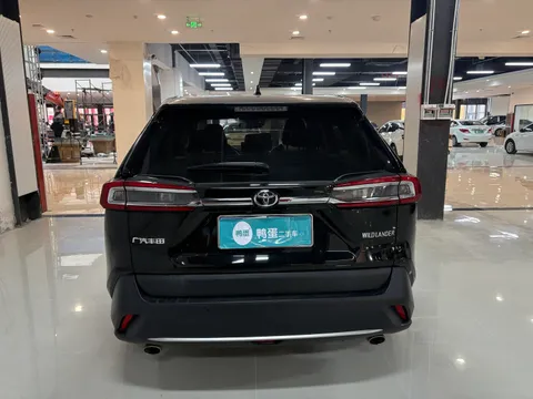 Toyota Wildlander