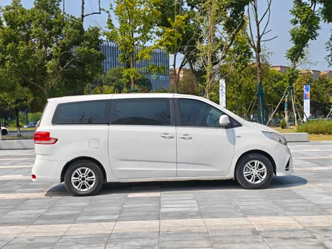 Maxus G10