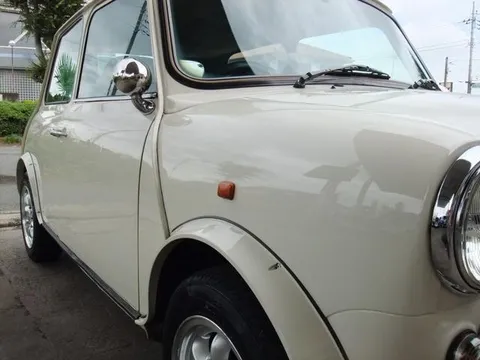 Rover Mini