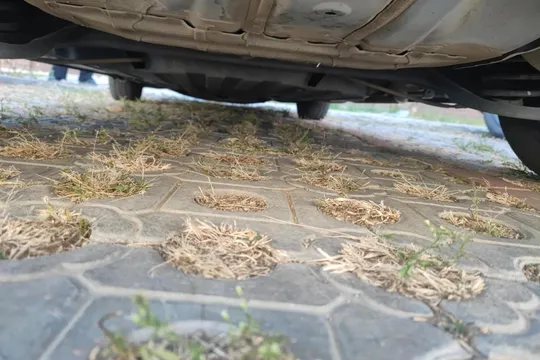 Honda Jazz (Fit)