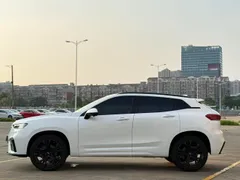 Wey VV7