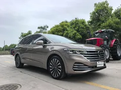 Volkswagen Viloran