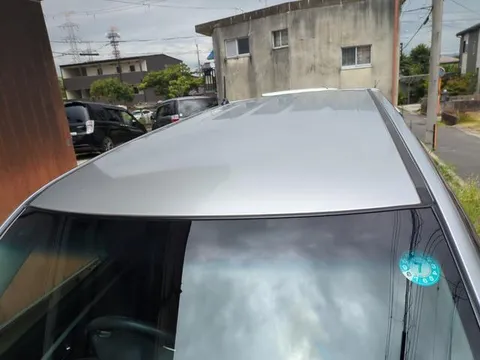 Suzuki Wagon R Stingray