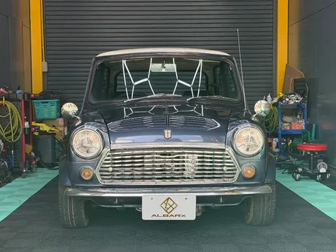 Rover Mini