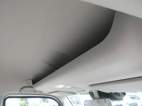 Nissan Clipper Rio