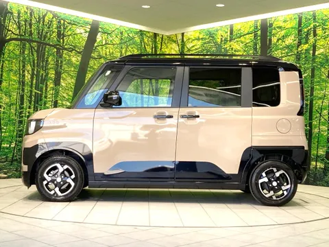 Mitsubishi Delica Mini