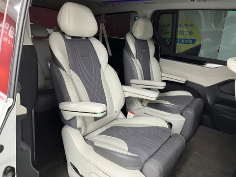 Maxus G20