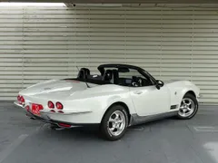 Mitsuoka Rock Star