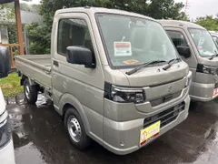 Suzuki Carry Track