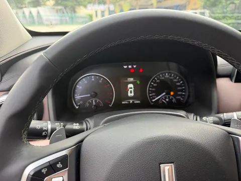 Wey VV5
