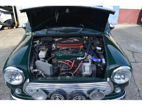 Rover Mini