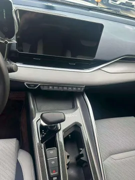 Geely Preface (Xingrui)