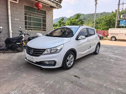 Baojun 310