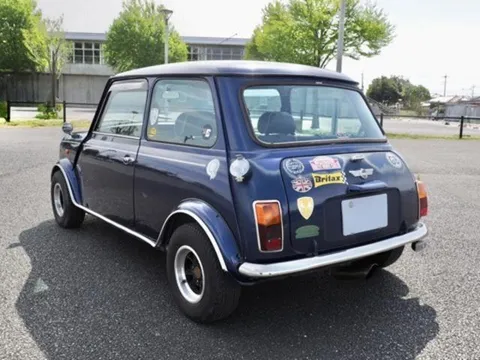 Rover Mini