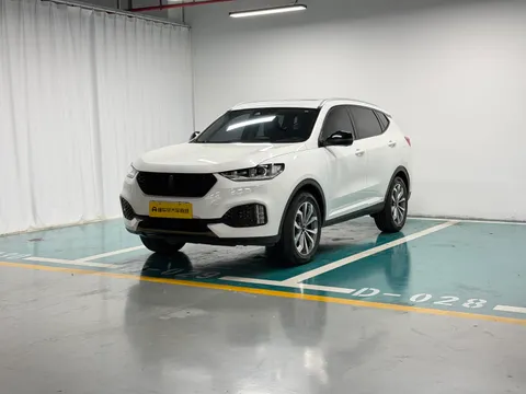 Wey VV6