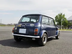Rover Mini