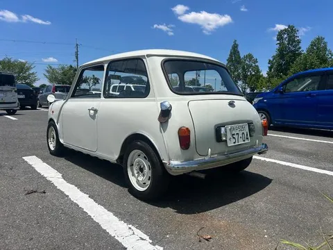 Rover Mini