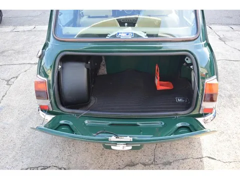 Rover Mini