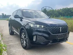 Wey VV6